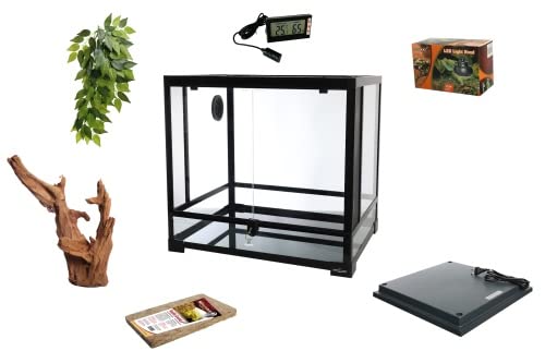 M&S Reptilien Frosch Komplettset 60x45x32cm mit Glasterrarium