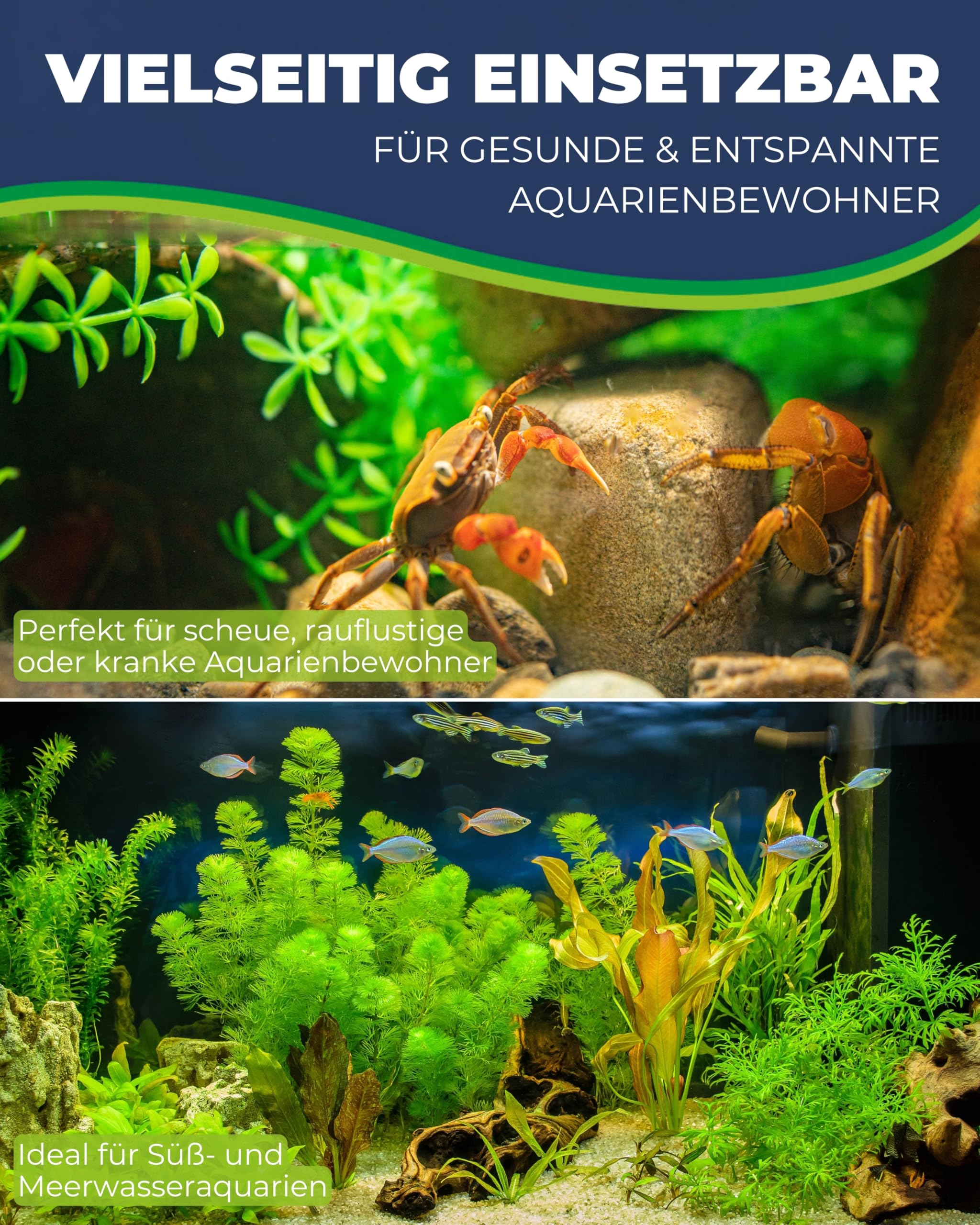 Hobby Genius Fischfalle Aquarium 21x13x15 cm transparent