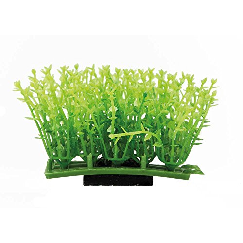 Hobby Plant Pad 2 Kunstpflanzenmatte 7x4,5x4,5 cm für Bodengrund