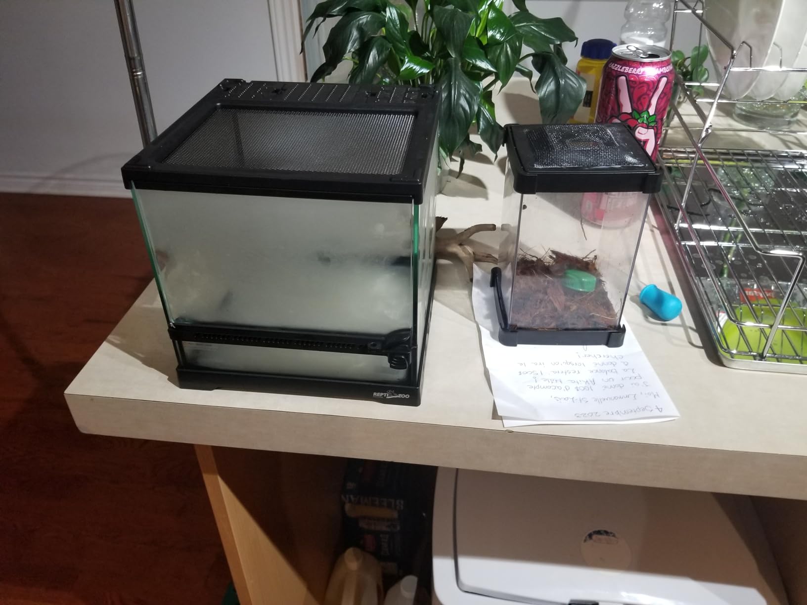 ReptiZoo Nano-Terrarium Glas 21x21x20cm 1 Tür