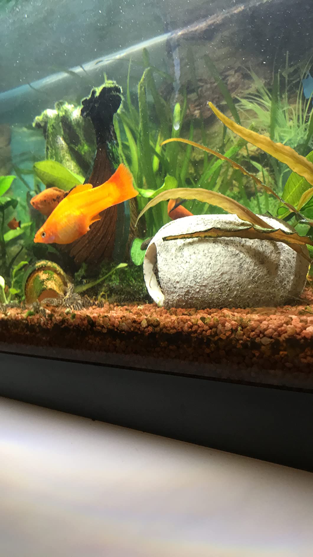 Hobby Marble Cave 2 Aquariumhöhle 8,5x9,5x8,5 cm Kunstharz