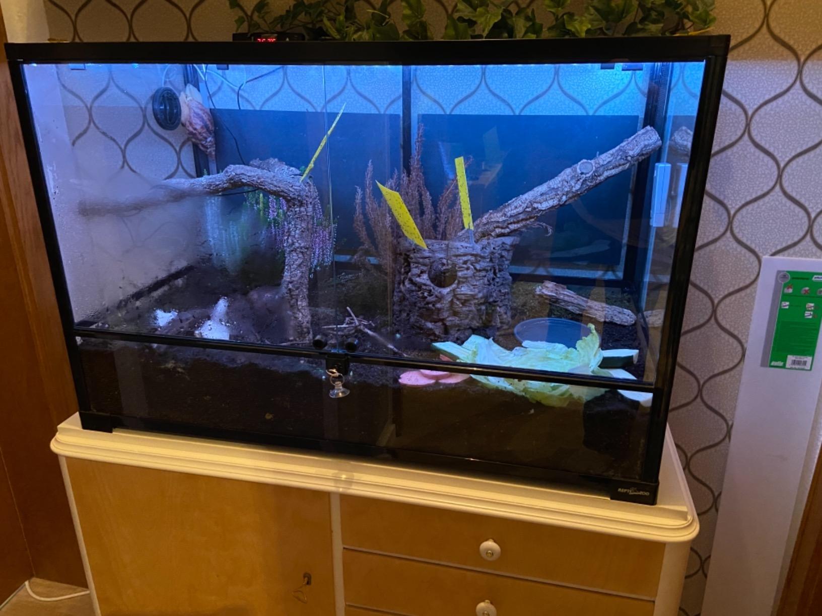 ReptiZoo Glasterrarium 90x45x60 cm mit Schwenktür
