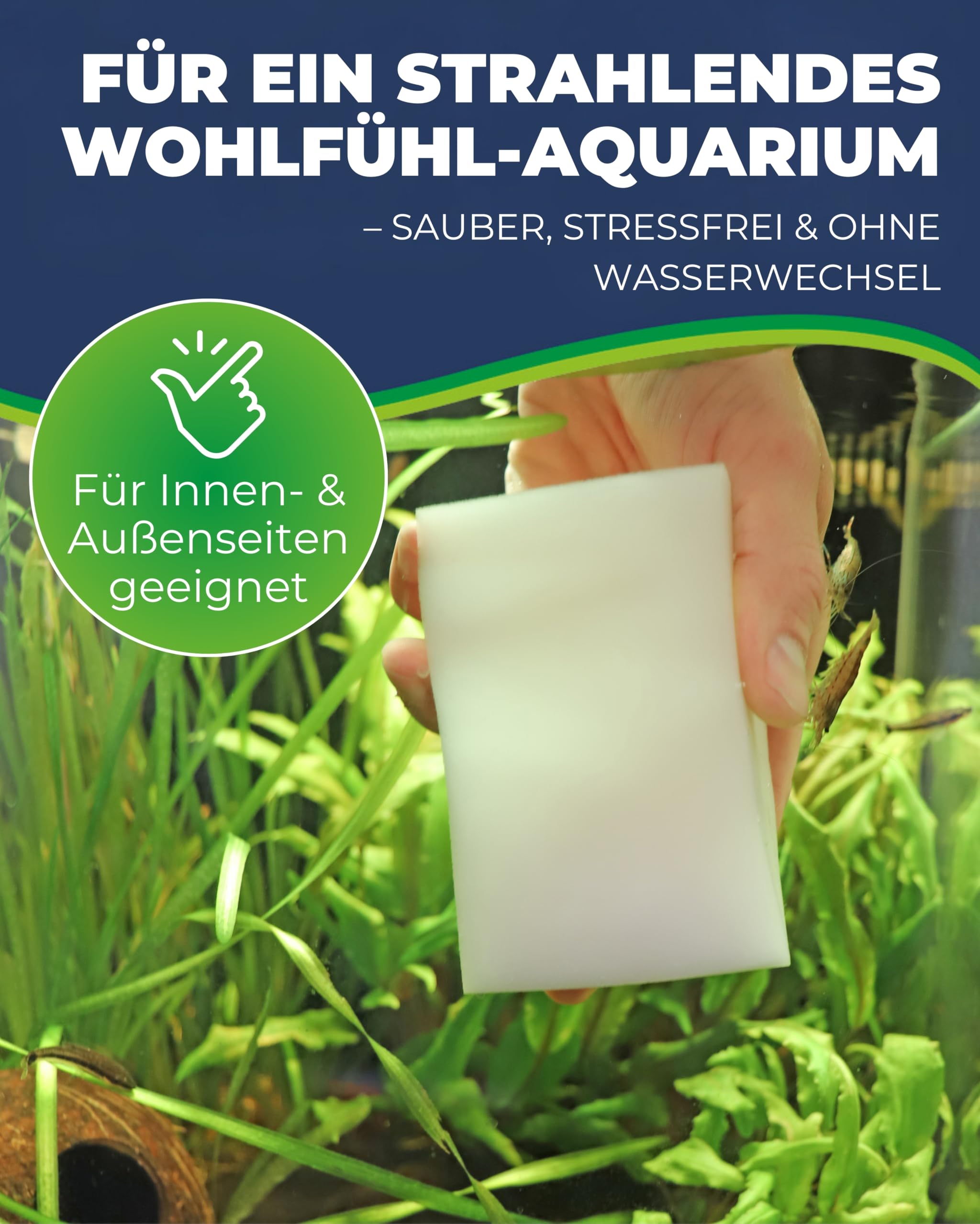 Hobby Bravo Algen-Radierer Scheibenreiniger Süßwasser