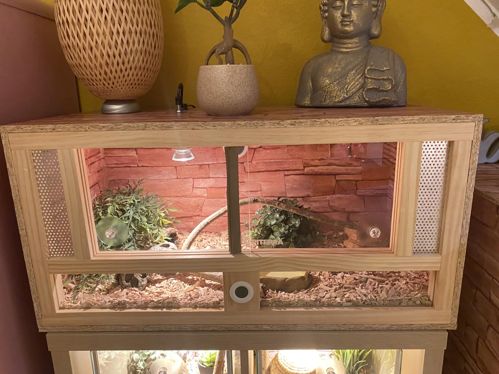 Repiterra Terrarium Frontbelüftung 80x40x40 cm Holzterrarium