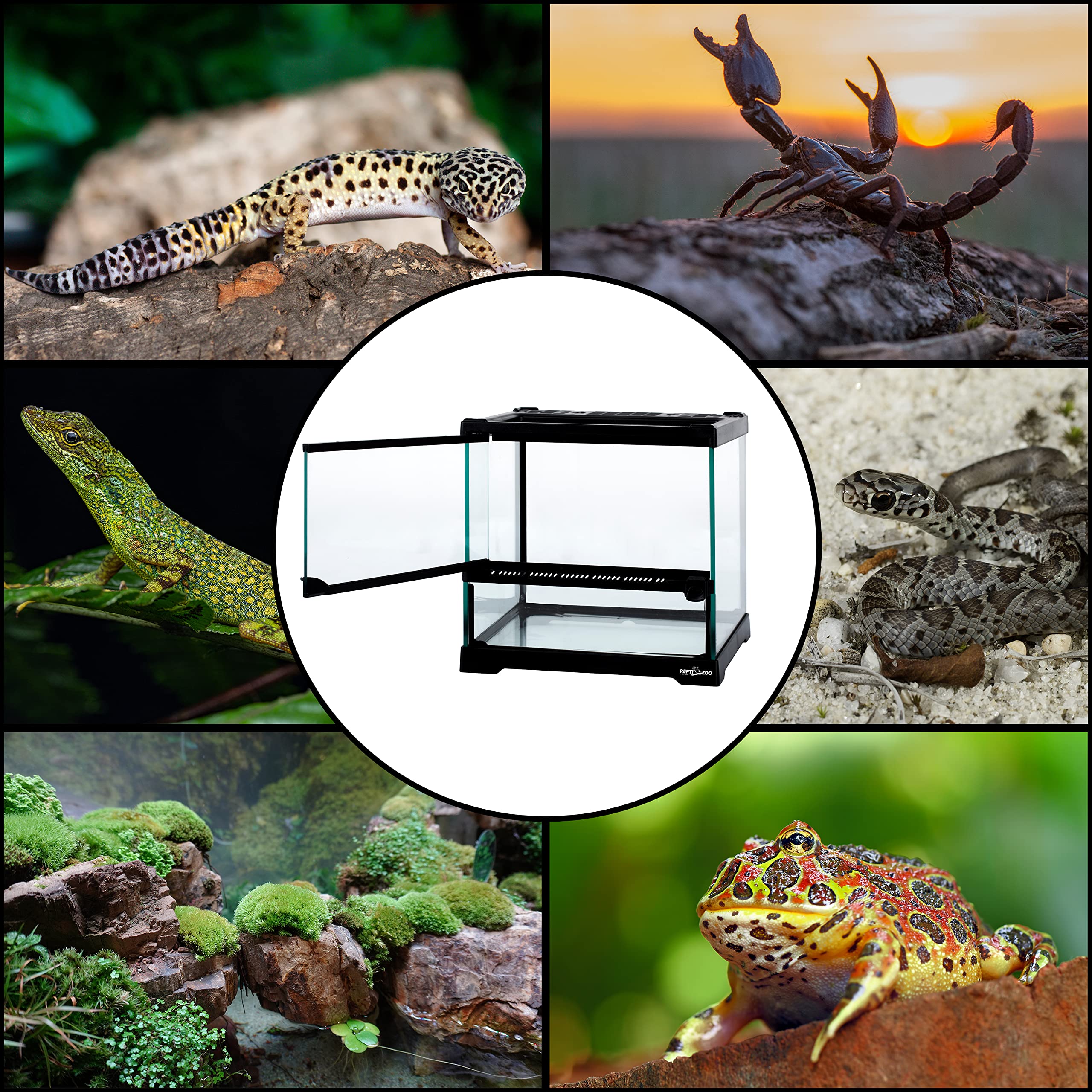 ReptiZoo Nano-Terrarium Glas 21x21x20cm 1 Tür