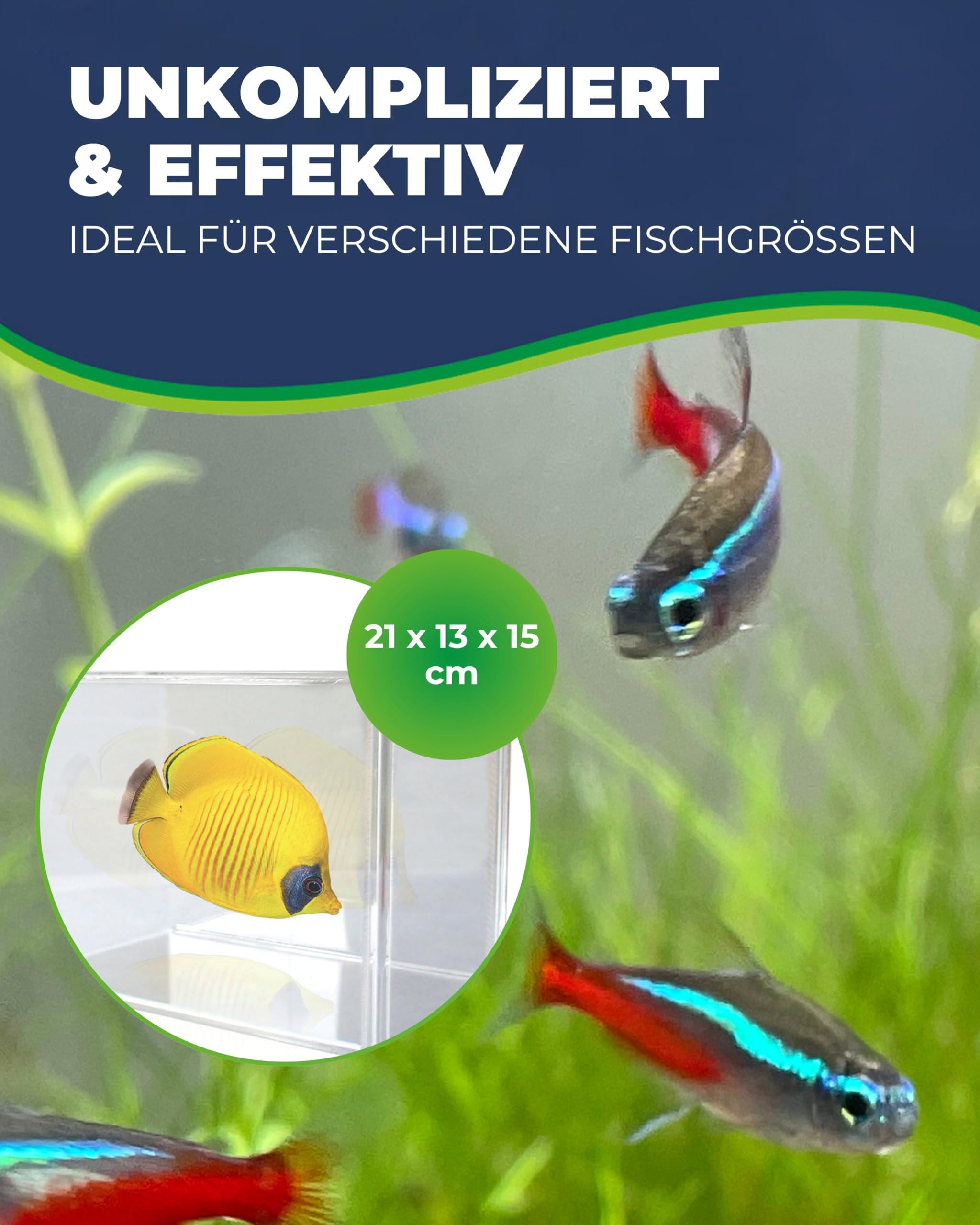 Hobby Genius Fischfalle Aquarium 21x13x15 cm transparent