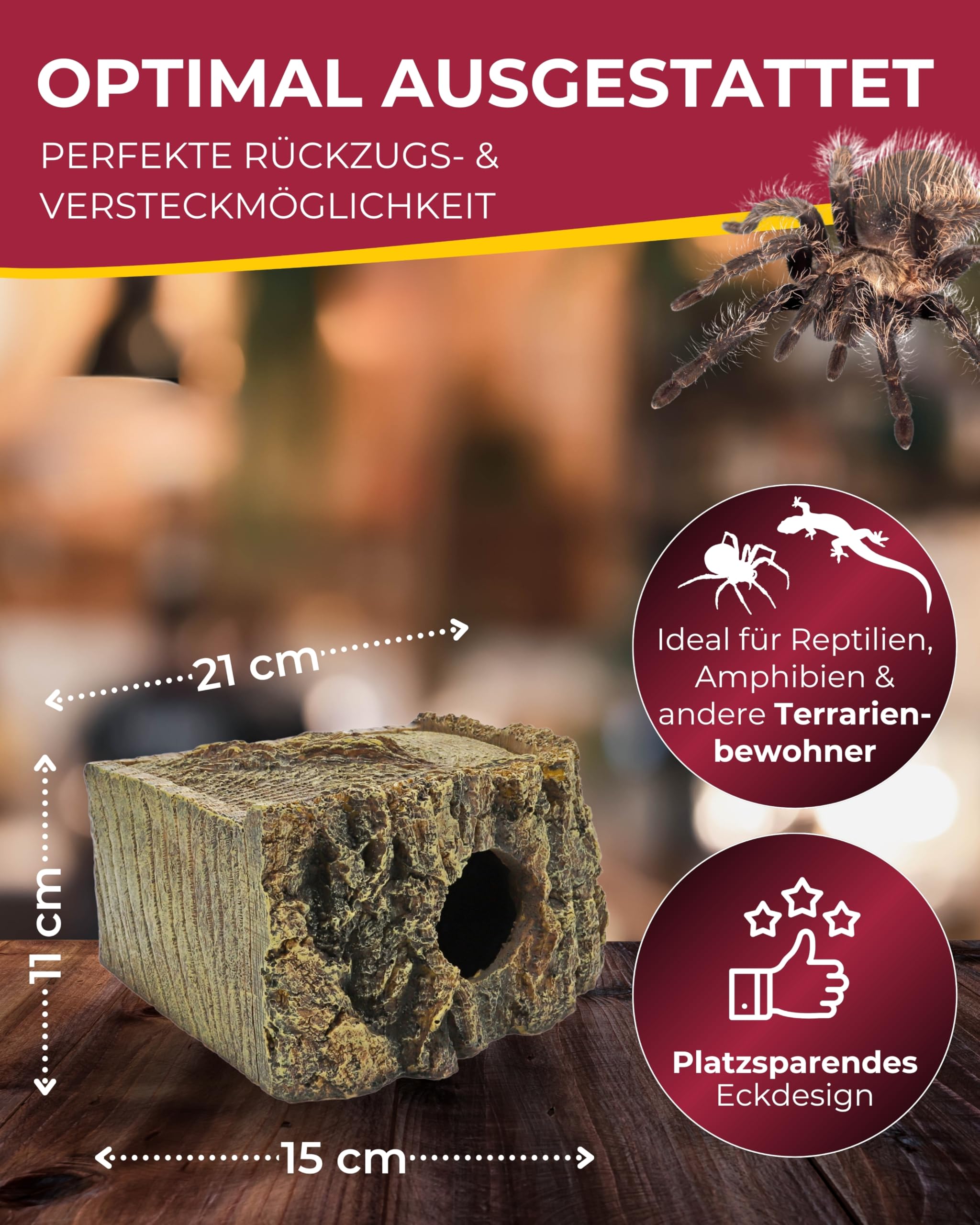 Hobby Bark I Eckhöhle Terrarium 21x15x11 cm naturnah
