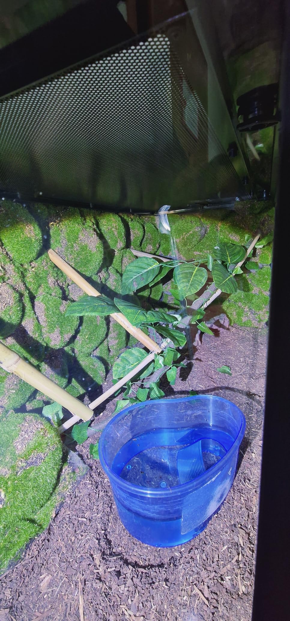 Repiterra Terrarium Rückwand Moos 116x58 cm 3D Hintergrund