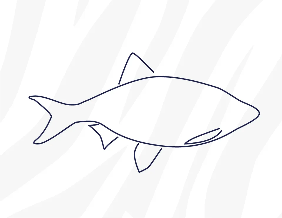 intipa Rotaugen M Frostfutter 10 kg Block