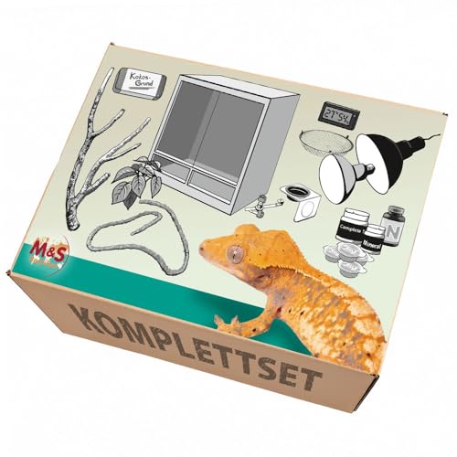 M&S Reptilien Komplettset Kronengecko Terrarium XL Holz hoch