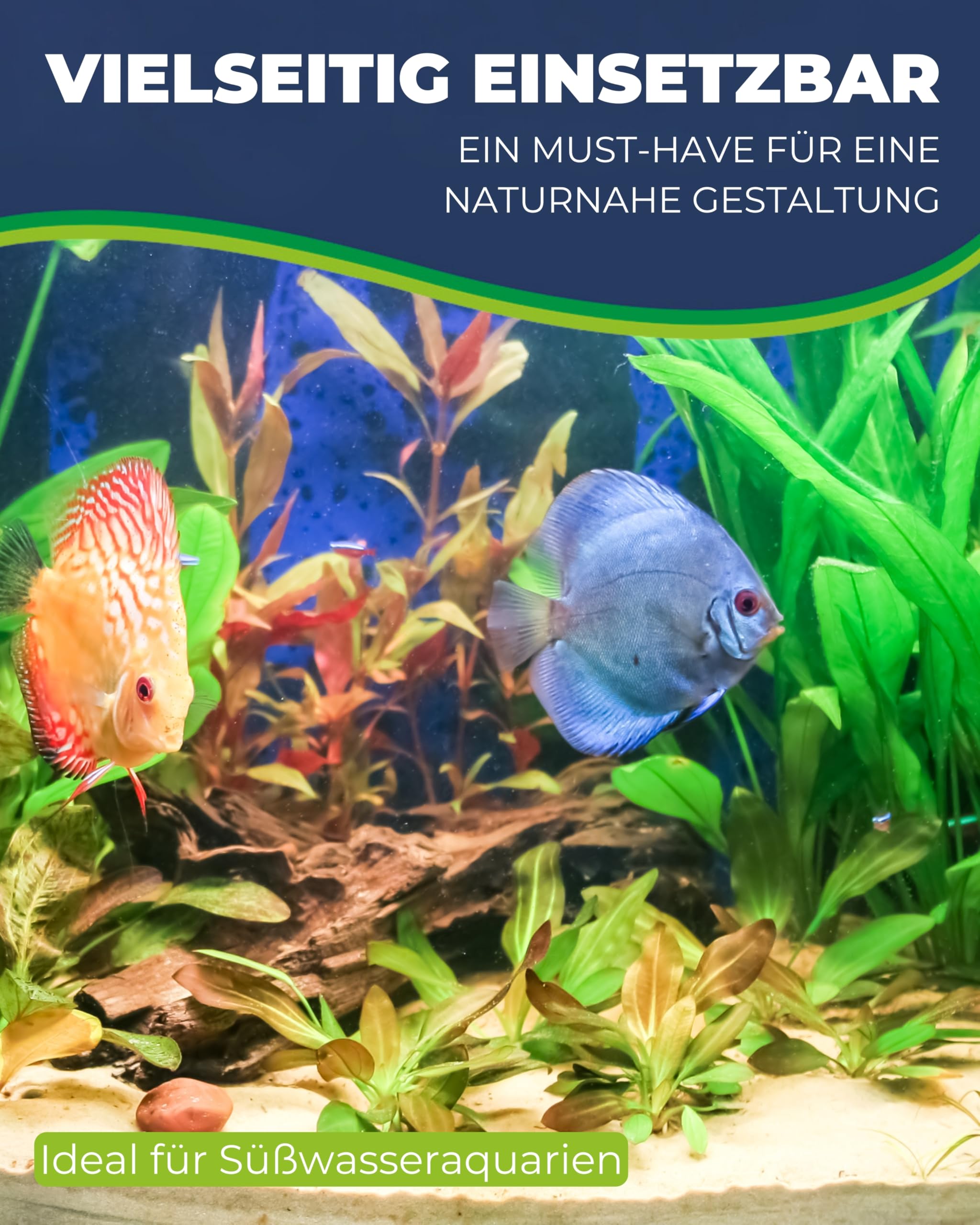 Hobby Heteranthera Kunstpflanze Aquarium 34 cm naturnah felsfixiert