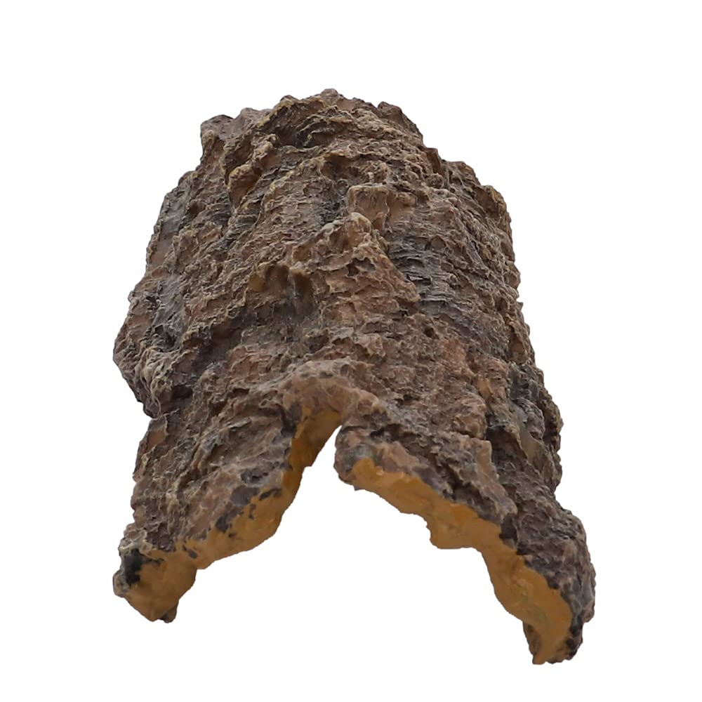 Hobby Bark Cave 41463 M Terrarium-Höhle 29,5 cm Rinde