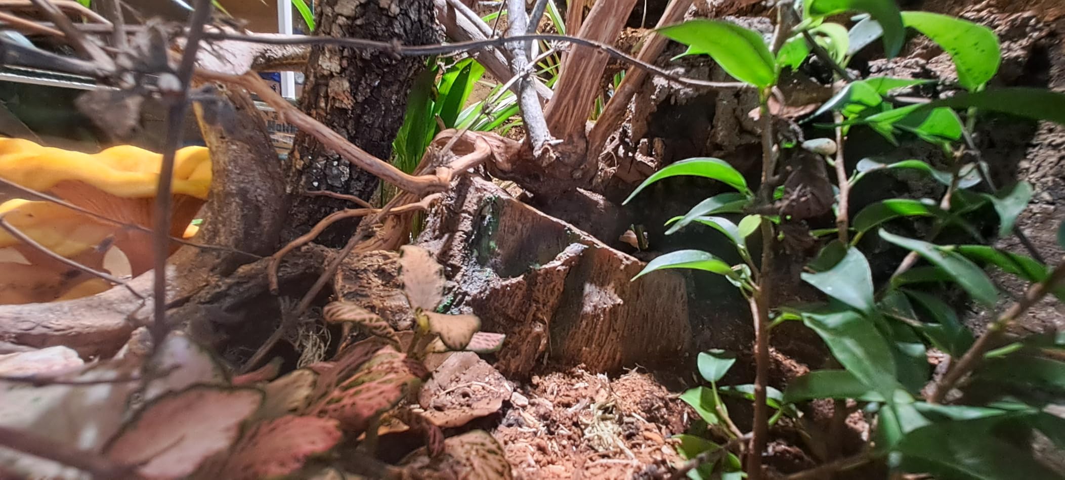 Hobby 41481 Baumstumpfhöhle 16,4 cm Deko Höhle naturnah