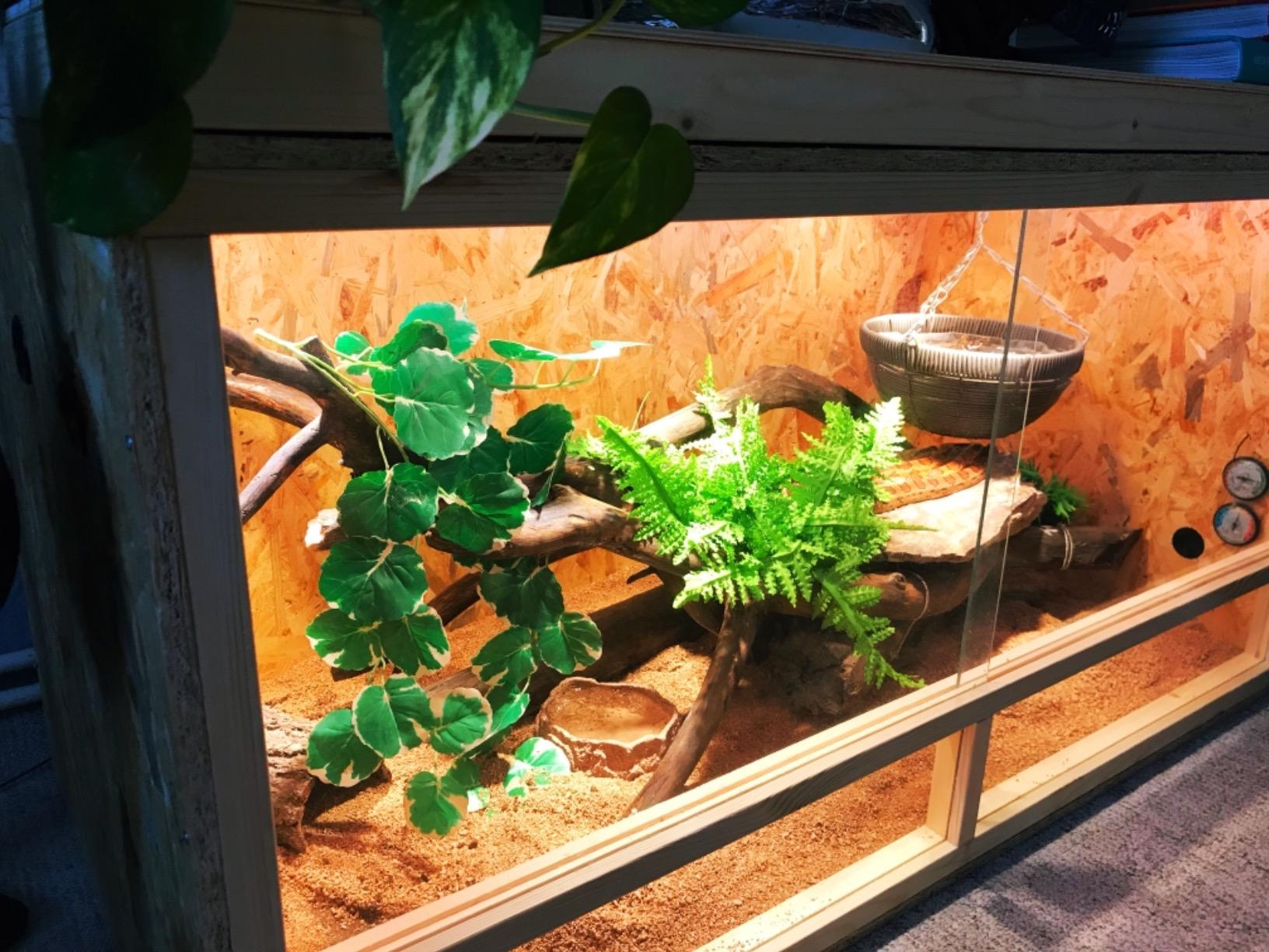 Repiterra Holzterrarium 120x60x60 cm OSB belüftet