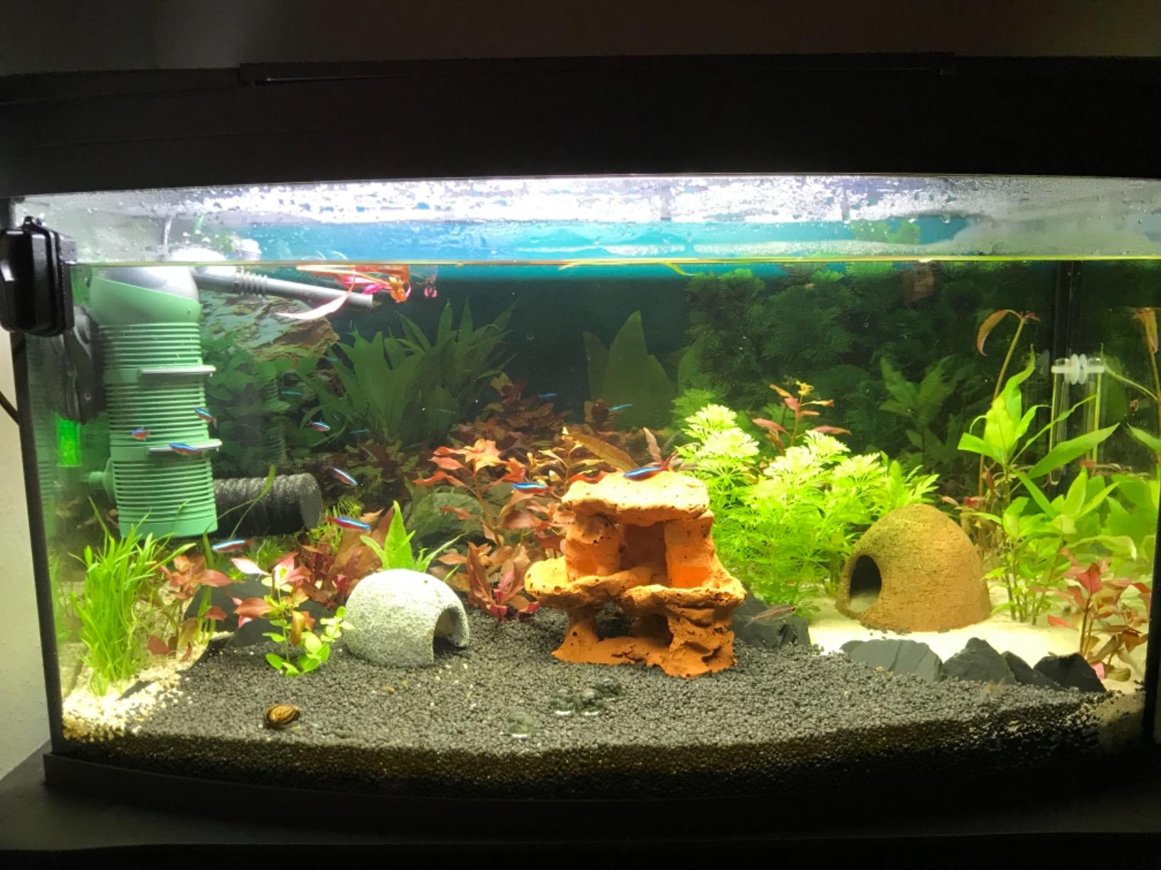 Hobby Marble Cave 2 Aquariumhöhle 8,5x9,5x8,5 cm Kunstharz
