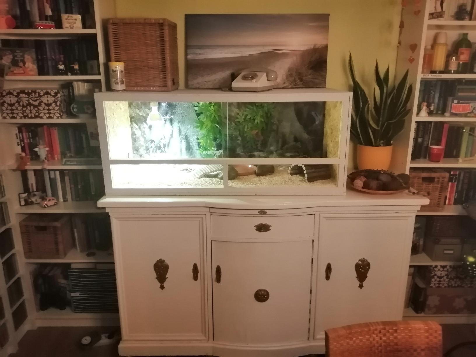 Repiterra Terrarium Seitenbelüftung Holzterrarium 120x50x50 robust