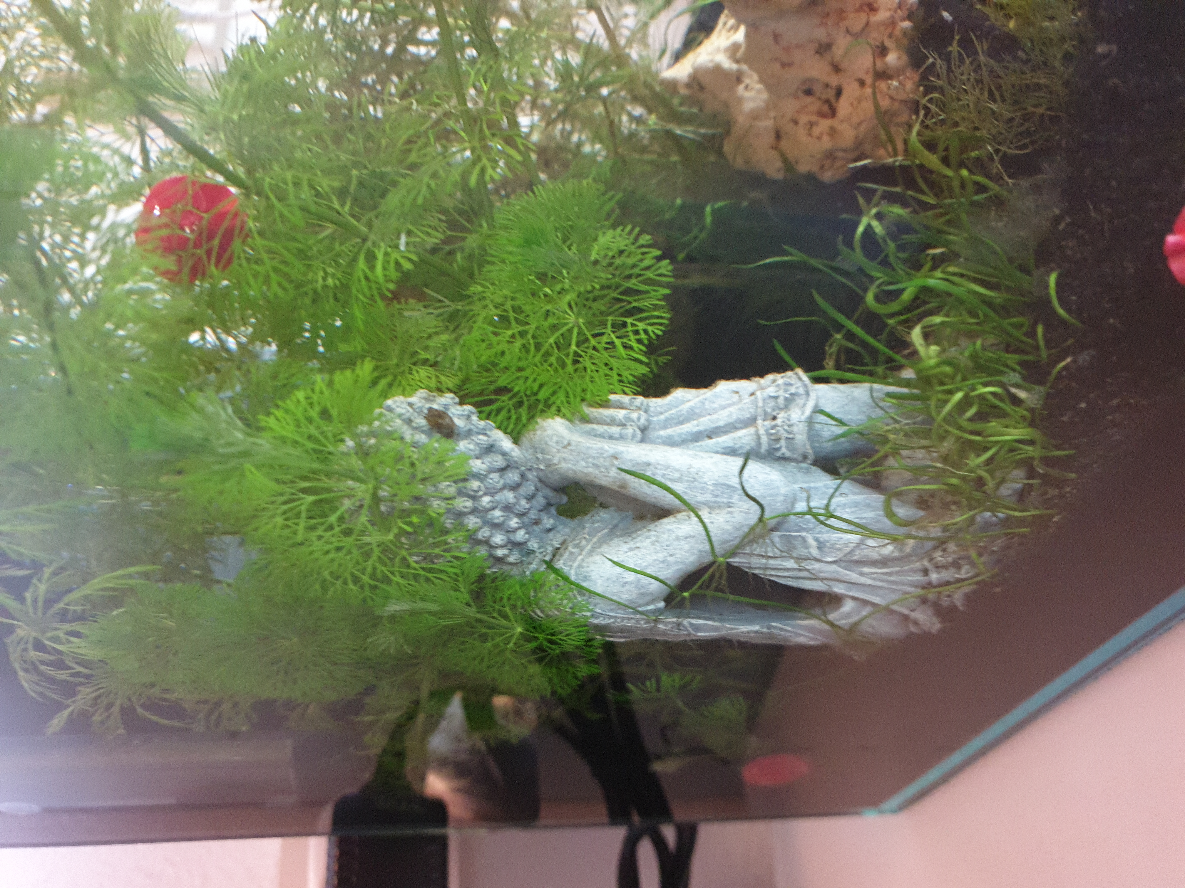 Hobby Vishnu Aquariumdeko 9x6,5x12,5 cm Polyresin