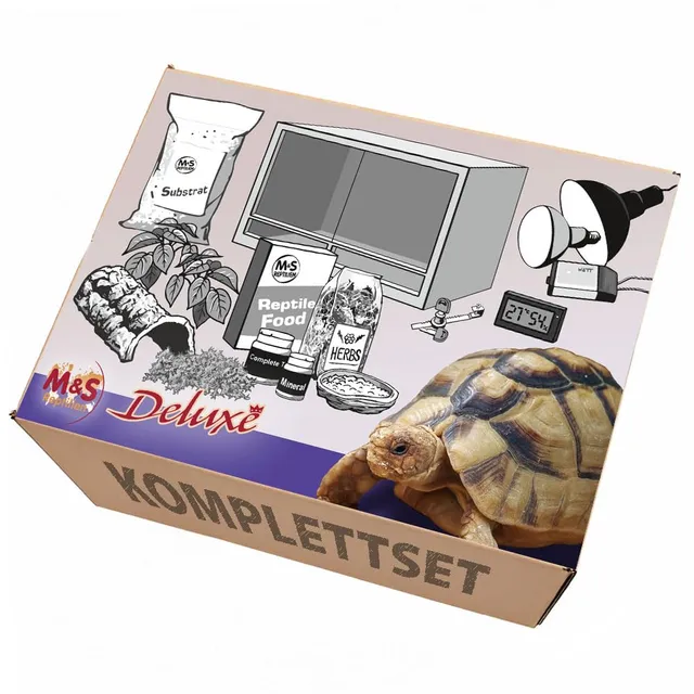 M&S Reptilien Komplettset Deluxe Landschildkröte Terrarium-Set Holz 120