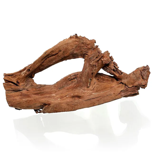 M&S Reptilien Mangrovenwurzel Large Wurzel 50-60 cm