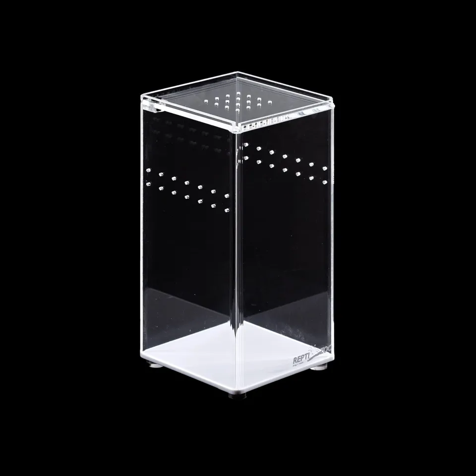 Repti Zoo Acryl-Terrarium 7,5x7,5x15 cm transparent