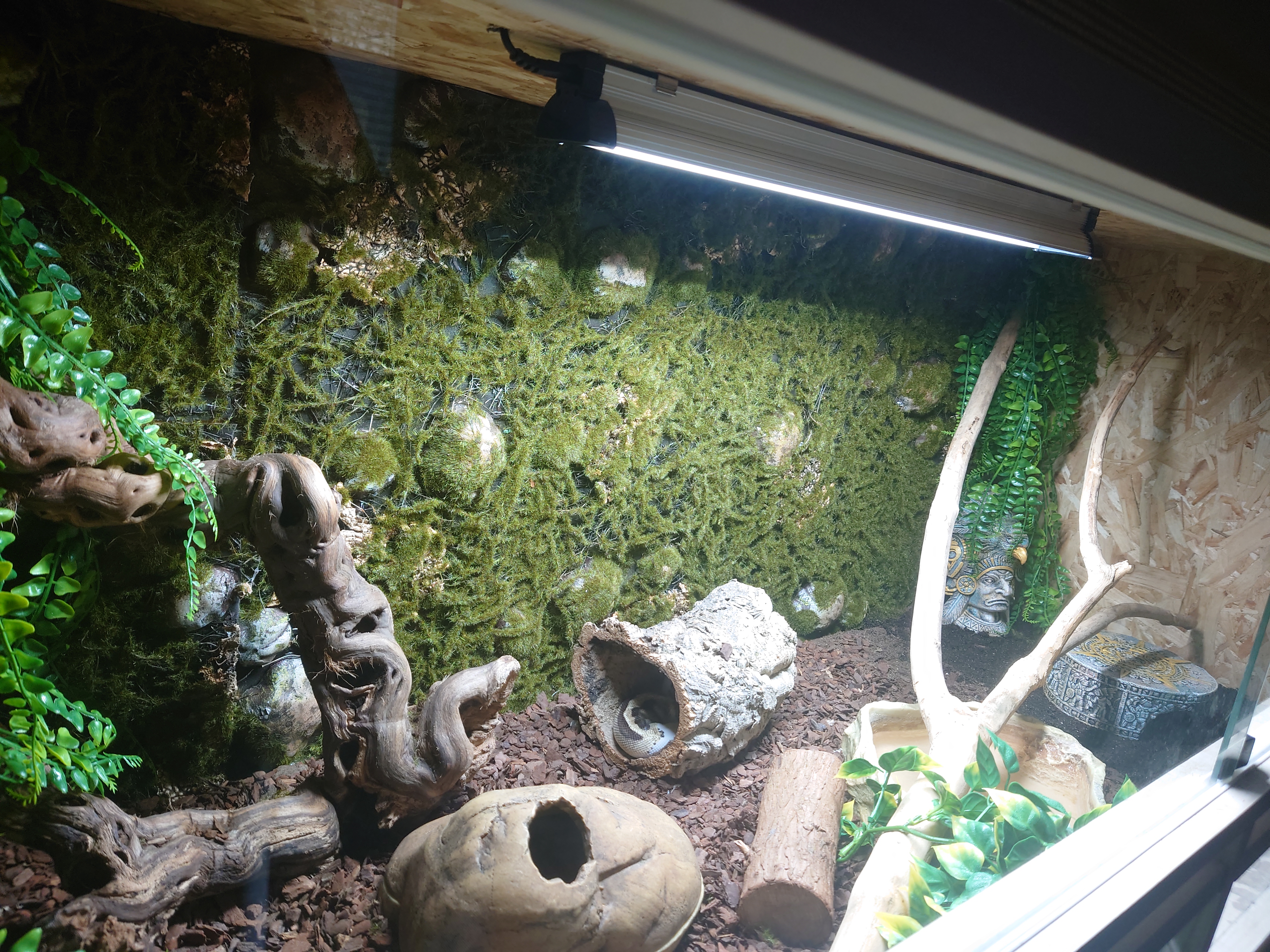 Repiterra Terrarium Rückwand Moos 116x58 cm 3D Hintergrund