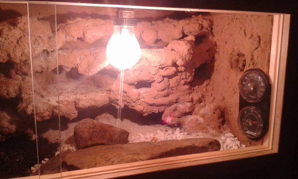 Repiterra Holzterrarium Seitenbelüftung 80x40x40 cm OSB
