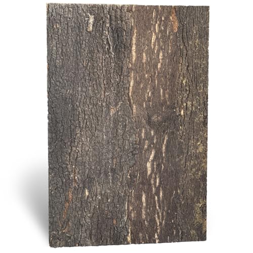 M&S Reptilien Zierkork Rückwand Fine 90x60x2cm DPCT062