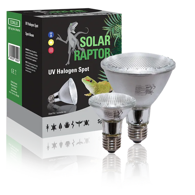 Econlux Solar Raptor UV Halogen Spot Terrarienlampe mit UV-A