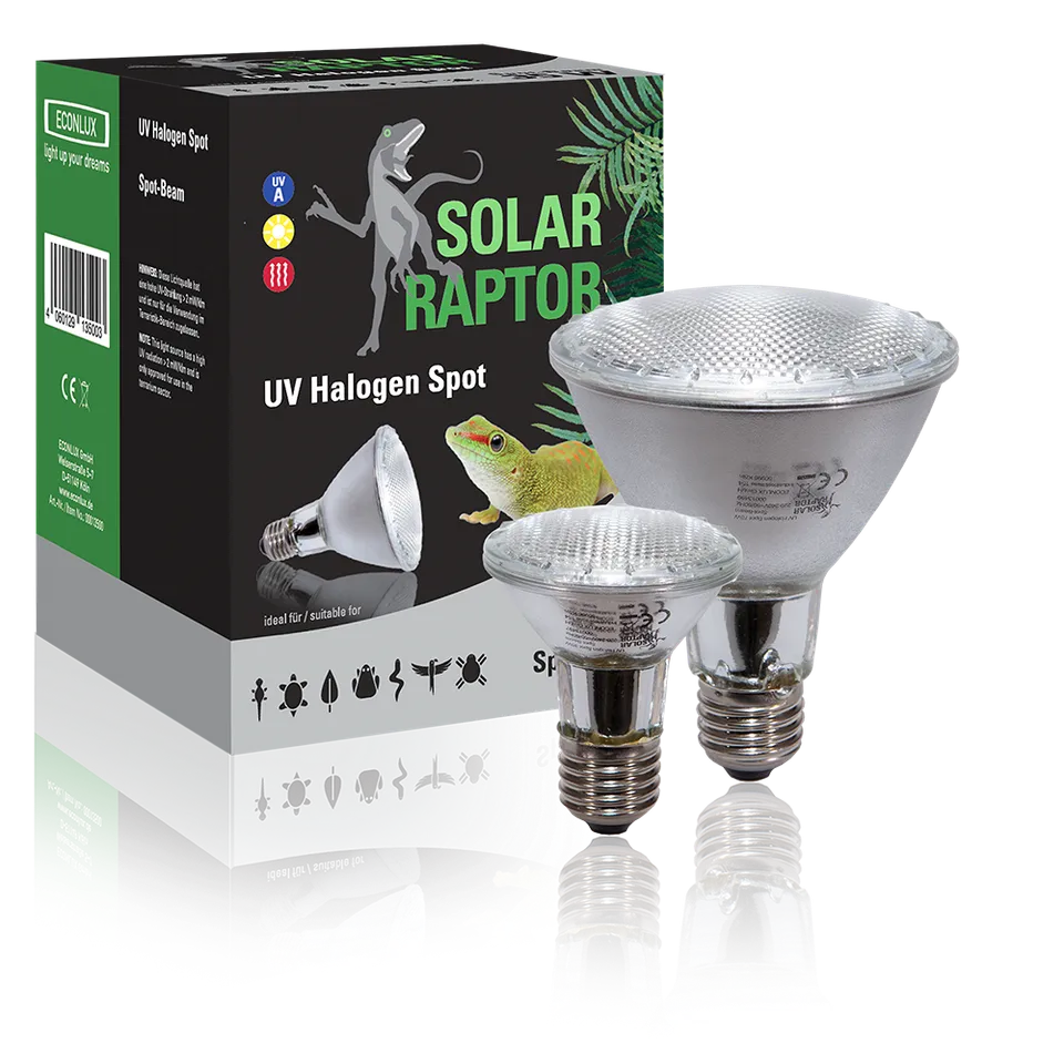Econlux Solar Raptor UV Halogen Spot Terrarienlampe mit UV-A