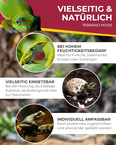 Hobby Terrano Moos 34095 Terrarium-Moosmatte Naturmoos